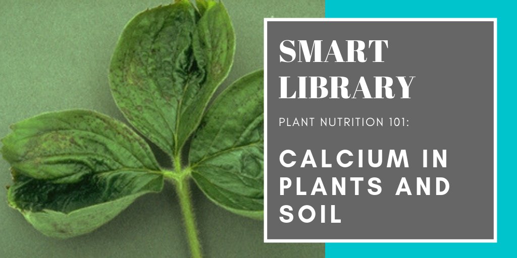 SMART Fertilizer tweet media