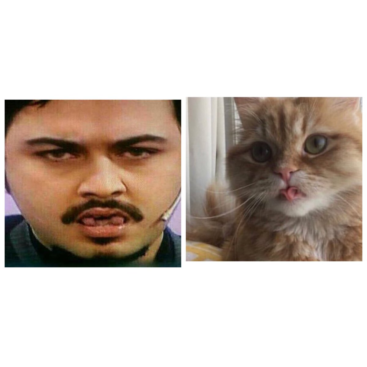 Birazdan kafamda bardak kıracam modu.