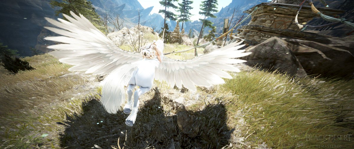 Bdo Dream Horse Guide Black Desert Online Grumpyg