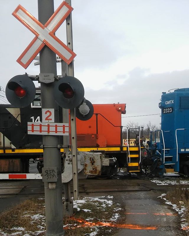 Lisa Murphy tweet media