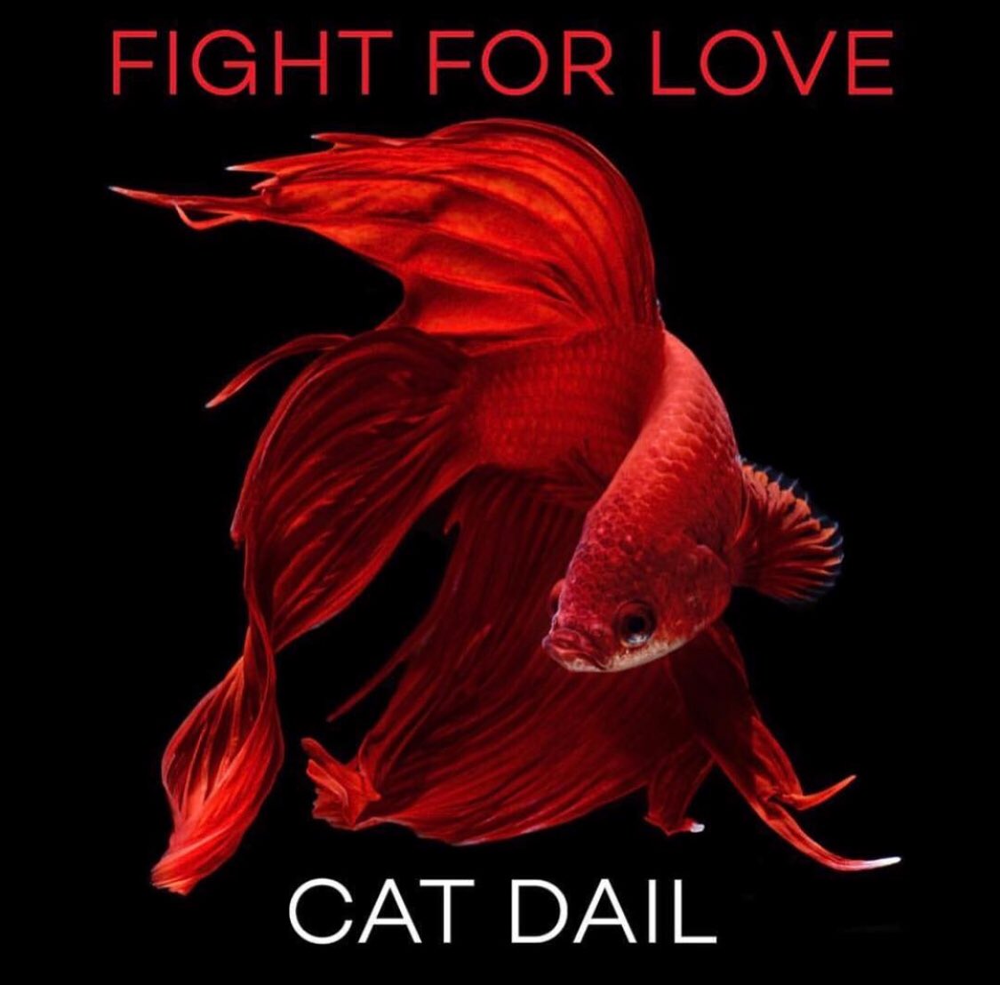 catdailmusic's tweet photo. 🎵❤️2018 #wrapped #writing #recording #mixing #mastering #dressing #mysongs #releasingnewmusic all w #amazingfriends #greatestmusicians #talentedartists ❣️❣️❣️ #NewEP ⭐️⭐️⭐️⭐️⭐️ #thefightforlovetour #30cities #5countries #2continents #coolpeeps #enroute ✨👊🏼💪🏼👍🏼😘 https://t.co/F0jmvCwiH0