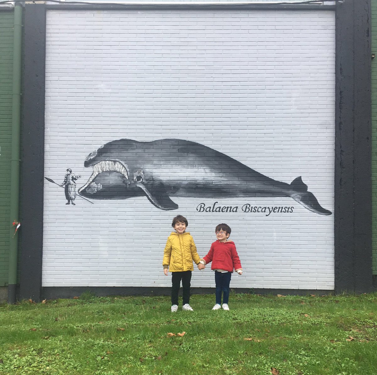 begomc77's tweet photo. Domekan Bermion, baleen istorioak ezagutzen @hhmoreak https://t.co/Ugwx19fnNz