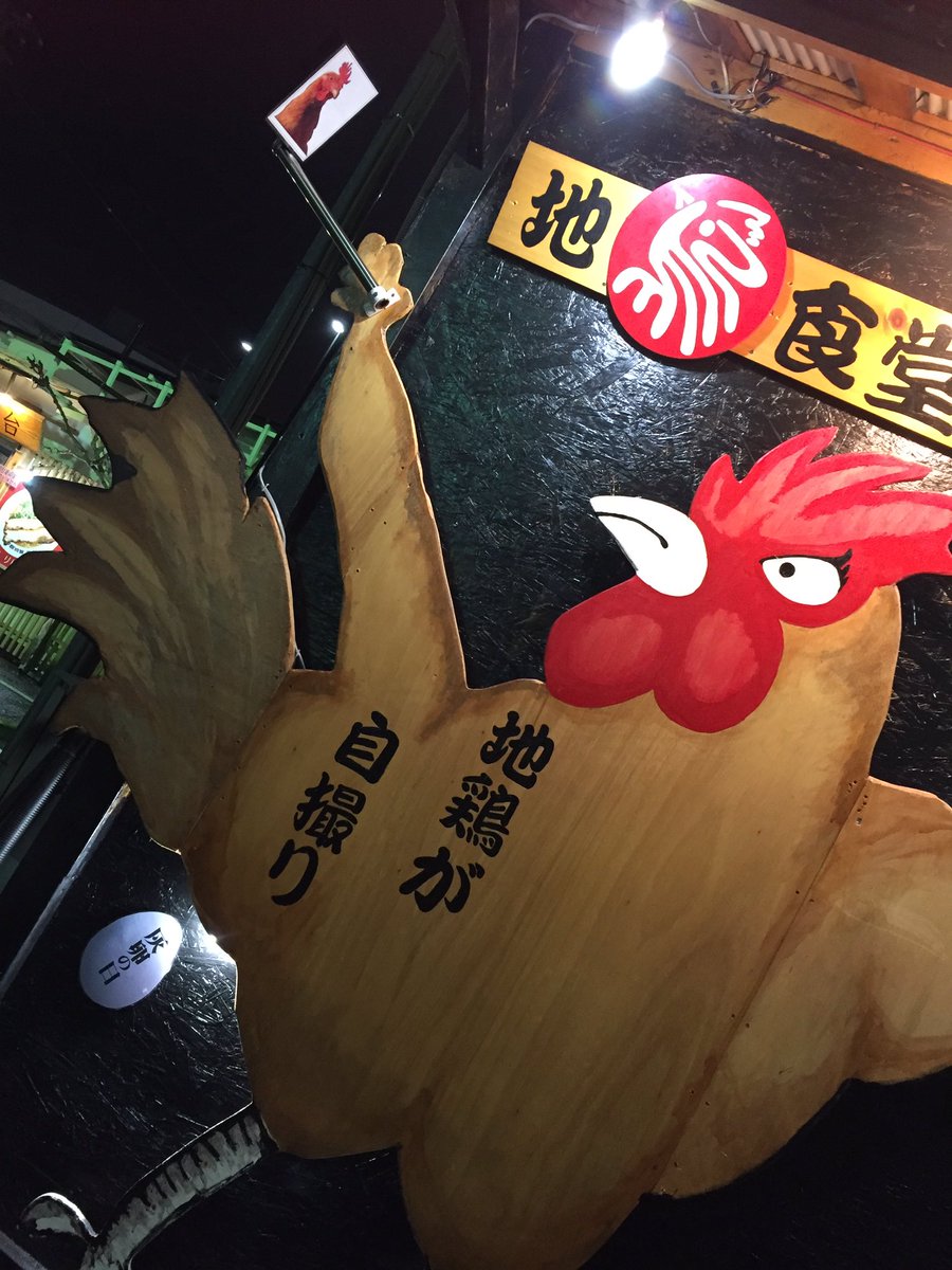 地鶏が自撮り 地鶏が自撮り