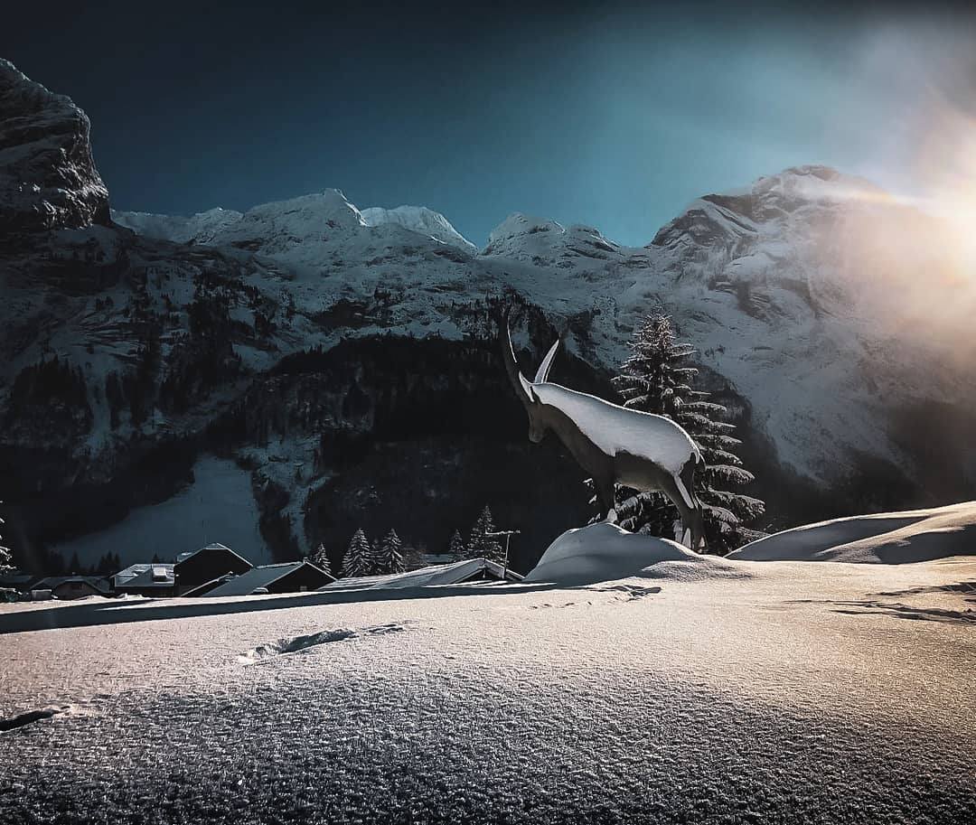 Amisdepralo's tweet photo. 📷 Pralo, c'est magique ! Merci © yughugs (Instagram : https://t.co/VVFlnZN7wT) #alpes @pnvanoise @SavoieMontBlanc #Savoie #MagnifiqueFrance #montagne #alpes #vacances @hautemaurienne @alpesmagazine @lamontagne_fr #snow @FranceMontagnes @aroundthealps https://t.co/JaubmH5eDz