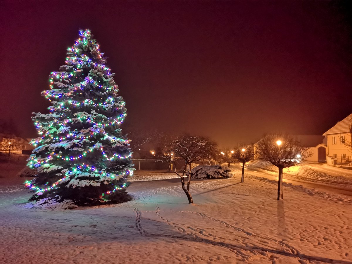 dacicko's tweet photo. vánoční strom #obecpec #dacicko https://t.co/NIx6fQupYc
