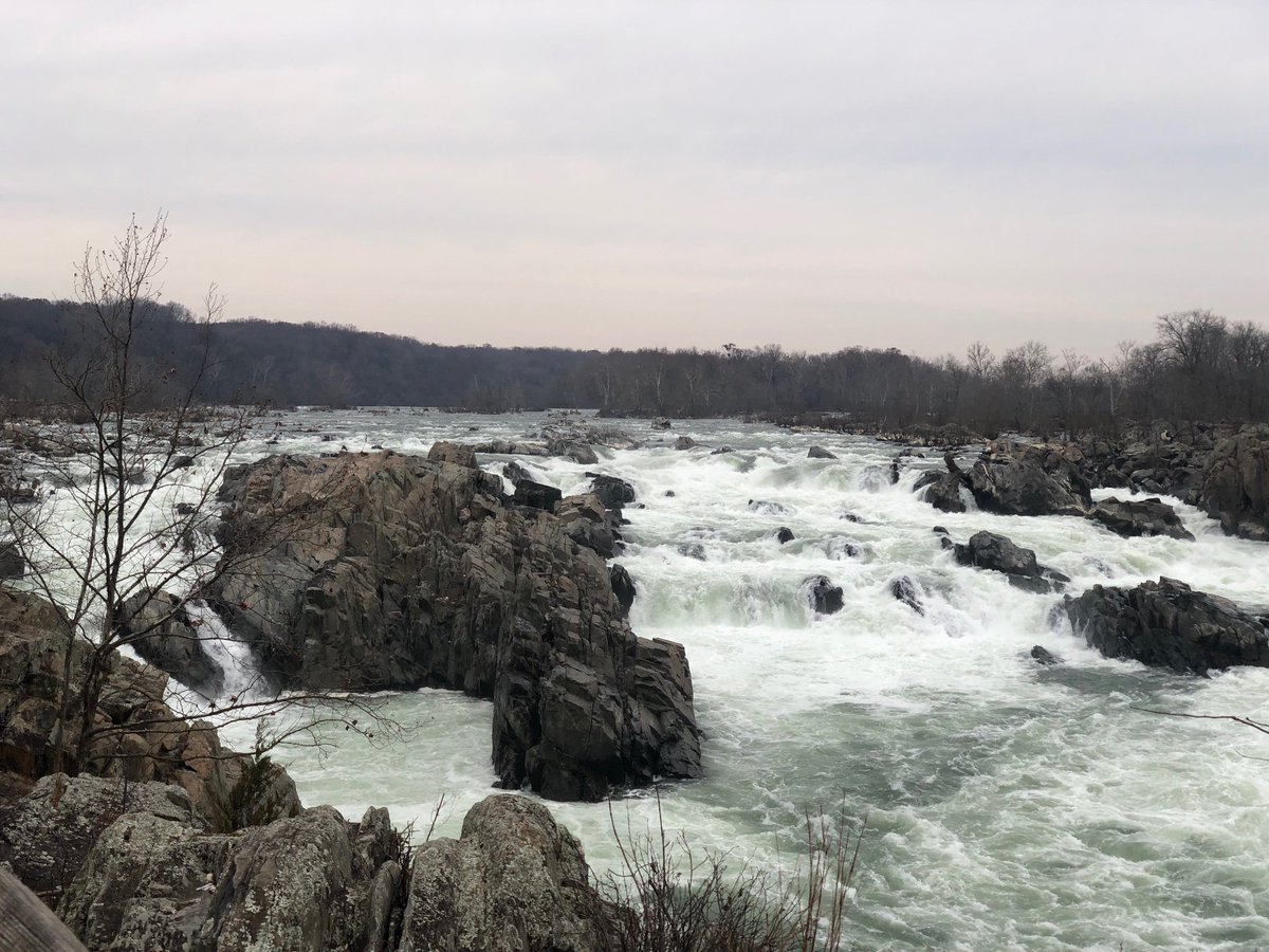 COcanalNPS's tweet photo. Due to rapidly rising river levels, #BillyGoatTrailA is closed, and #GreatFallsOverlookTrail has the potential to be close in the next 24 hrs.
However, during this #flood you can still catch views of #GreatFalls from #GreatFallsParkVA. MC https://t.co/VENGa3GKnP