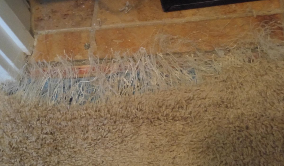 Atlanta Carpet Repair Expert Carpet Vidalondon