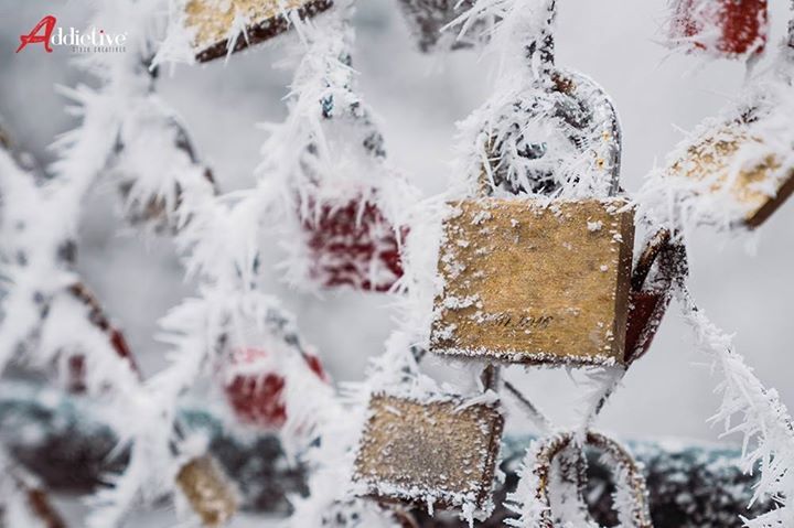 AddictiveStock's tweet photo. Christmas in the snow with loved ones locked at home is the perfect dream! This is the feeling that this photo of @robertkohlhuber give us 🔒 #beautiful #bestoftheday #igers #igersacademia #instacool #instagood #instamood #lookslifefilm #love #realstock #somosinstagramers #st… https://t.co/lffC3rBs3C