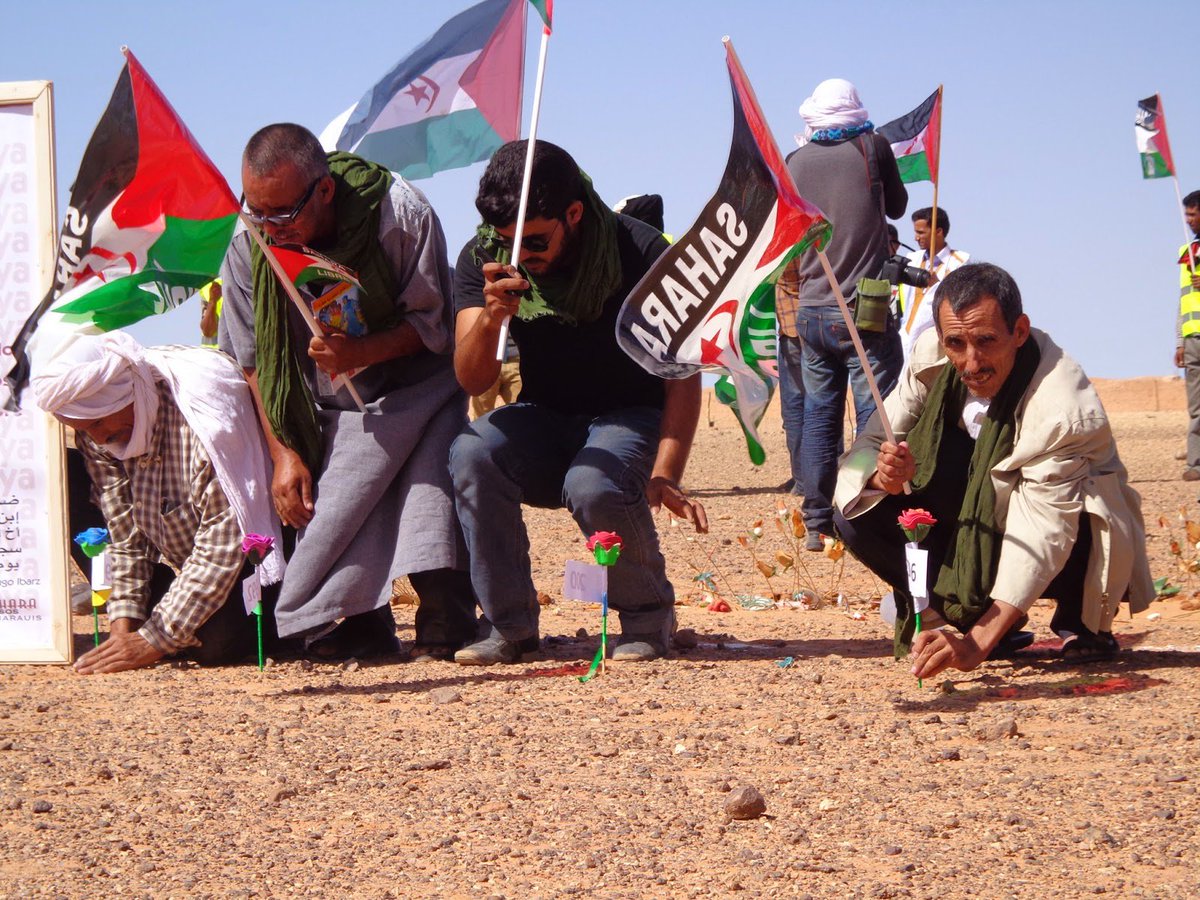 DailalMariam's tweet photo. While I'm playing or having a tour in #Saharawi_liberated_areas I can lose my arm or my leg or even my life because of landmines which was layed by #Morocco
#ASAVIM
#westernsahara
#UN https://t.co/m2fVthZ8BW