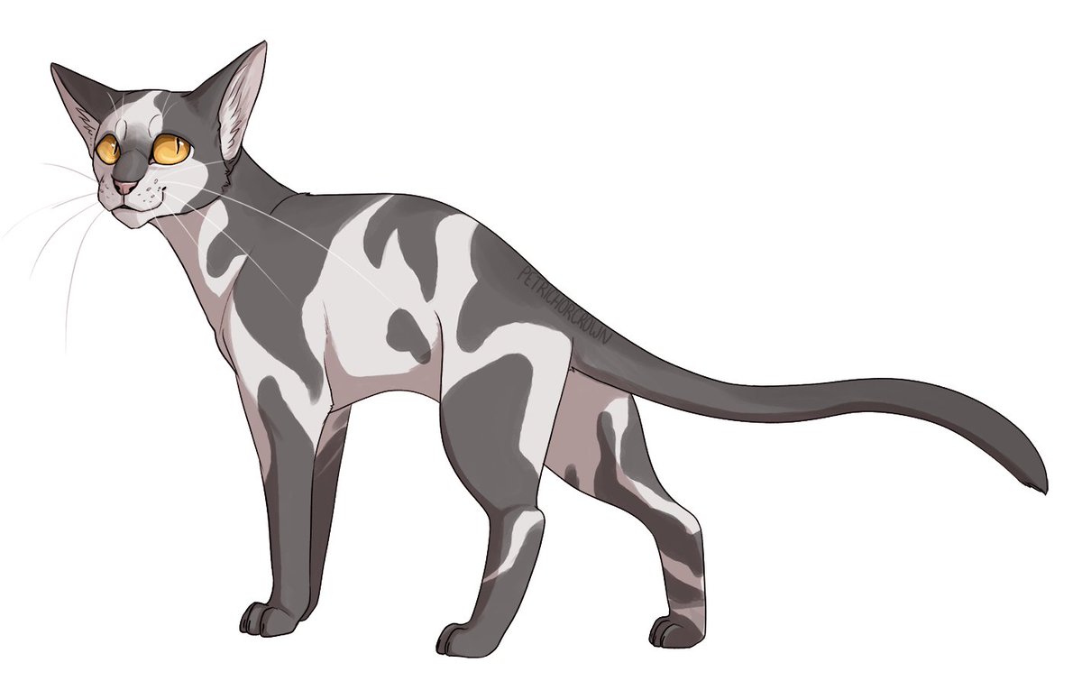 PetrichorCrown's tweet photo. I'm doing a #WarriorCatsAlphabet challenge so for A we have Aspenfall!
#warriors #warriorcats #aspenfall #windclan https://t.co/a1vCDYbcss