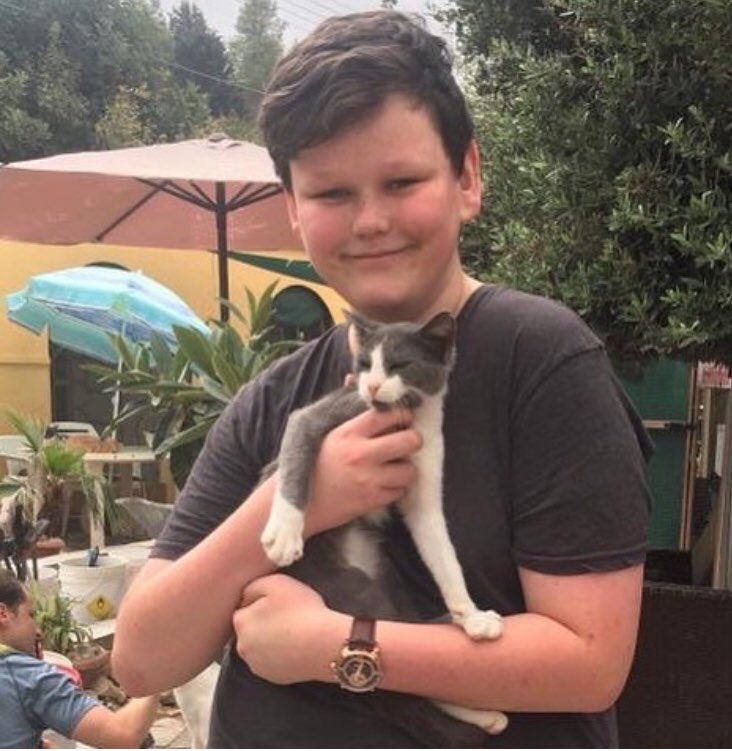 Talacats's tweet image. Rehome 703 .. This is Earl Grey who has found his forever home with Jude and his mum Lisa who live in Peyia. Earl is a lovely boy with loads of energy. Thankyou so much Jude and Lisa for giving Earl a home he deserves with you both! 😻 #rehome #cats #kittens #CatsOfTwitter