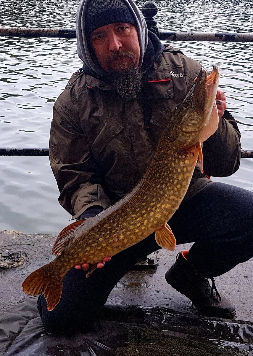 New pb for team captain john jones with this 16 pound pike from his syndicate the wharf in Cardiff Top Notch angling bud