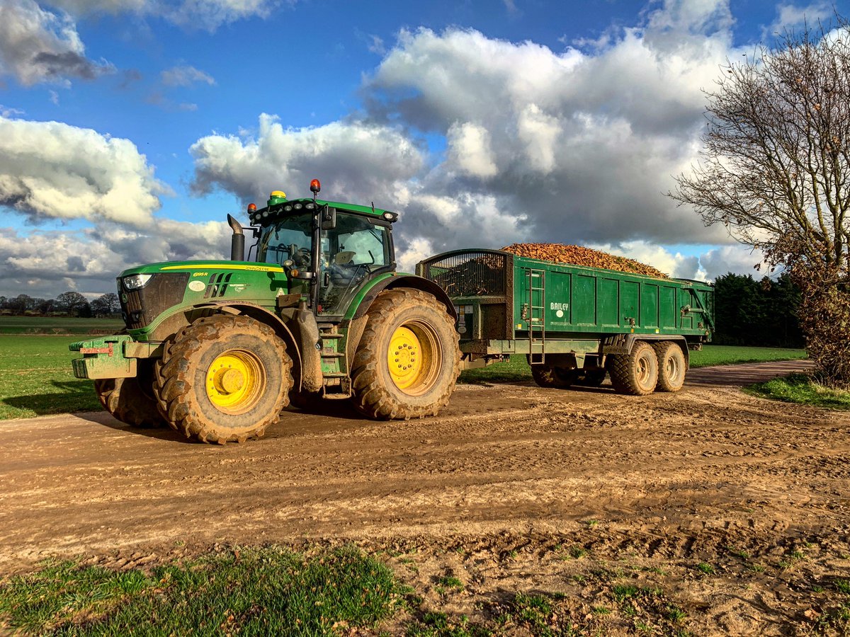 Another load of parsnips ready to be cleaned and packed ready to be on your plate for Christmas 🚜🎄 <a href="/3musketeersltd/">Three Musketeers</a> <a href="/WantisdenHallFa/">WantisdenHallFarms</a>