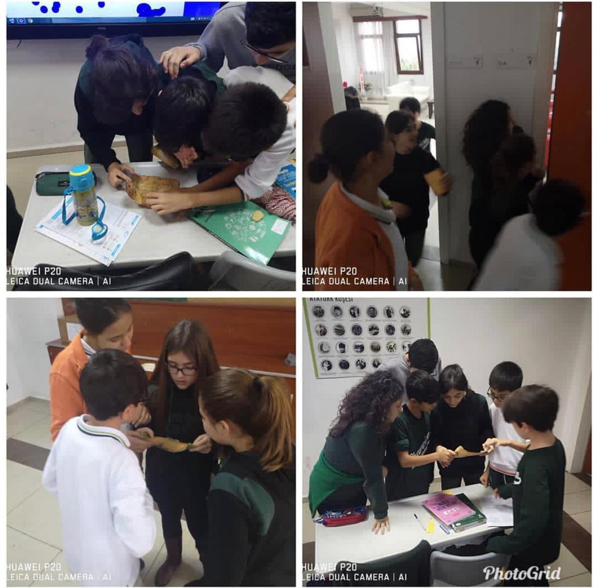 doganazilli_elt's tweet photo. Treasure Hunters with 6th graders😌
#learnenglishwithdogaschools #nazillidoga #treasurehunters
@erincdemirci @AliRizaLule @tbmumcu @ece_hamret @ebrualgr @TastanSena @pelinuysl19 @ferdadönmez @nazdogakoleji https://t.co/msWz5kcRih