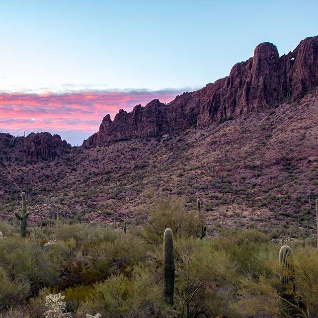 hungryknife's tweet photo. Not tinted. This shit looks like this! 😎
🌞🌎🌜
⛰
🌵
👁
#nofilter #azsunset #eveningsky #sunset #sundown #Arizona #desert #desertlife #southwestlife #arizonaliving #nature #instanature #scenery #bigsky #mydays #Cactus #landschaft #naturephoto #gowild … https://t.co/O6I9tcmNmb https://t.co/0JAp89Hau2