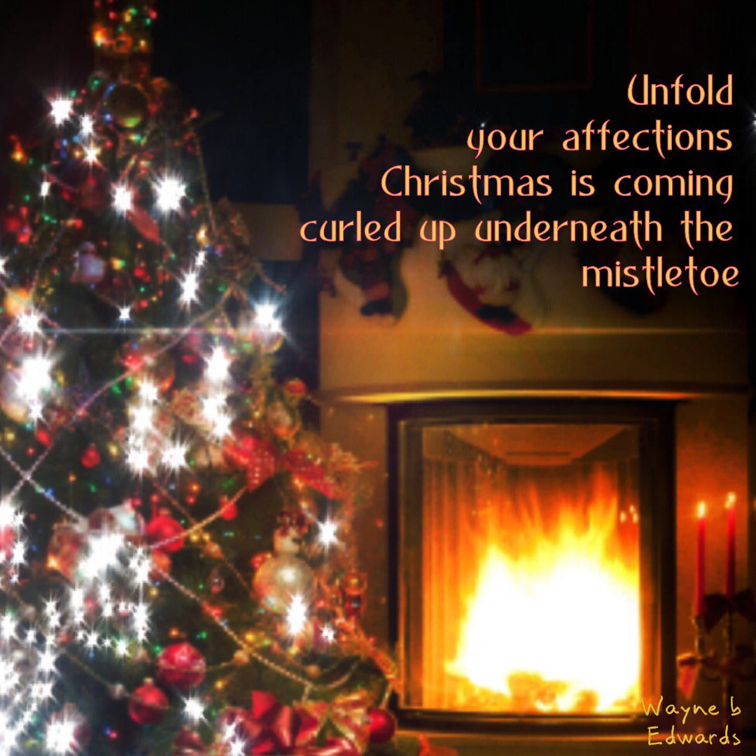 WayneBEdwards1's tweet photo. Unfold
your affections
Christmas is coming
curled up underneath the
mistletoe

#elfchen #christmaspoetry #mistletoe #Christmas #prompt #micropoetry #microprompt #amwritingpoetry https://t.co/e1NRkLBfUC