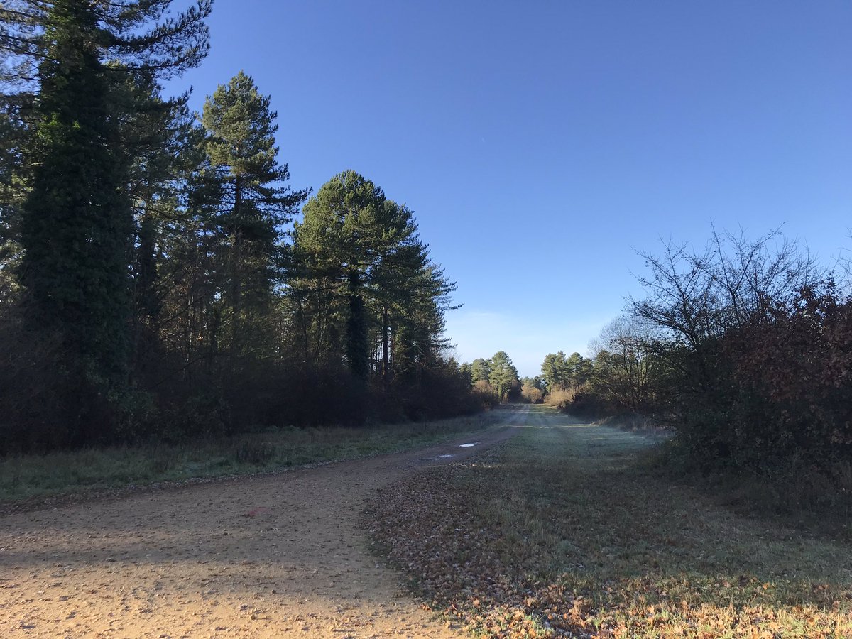shepherdesskit's tweet photo. Blowing out the cobwebs at #weststow with my lovely parents and the hounds #TheBear and #TedTed
Absolutely beautiful with frozen puddles and little pools of mist everywhere https://t.co/AZW1uw0cSm