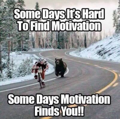 bfit516's tweet photo. Even though it’s Sunday and u feel lazy, get up and #workout! #fitness #fitfam #fitlife #motivation #healthy #health #weightloss #diet #personaltrainer #gymlife #crunchbellmore #exercise #noexcuses #gym https://t.co/bZsAj1bVHd