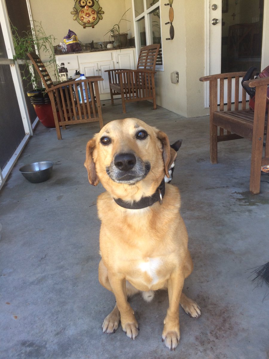 Look at that smile!  #cutiepie #thegoodlife
