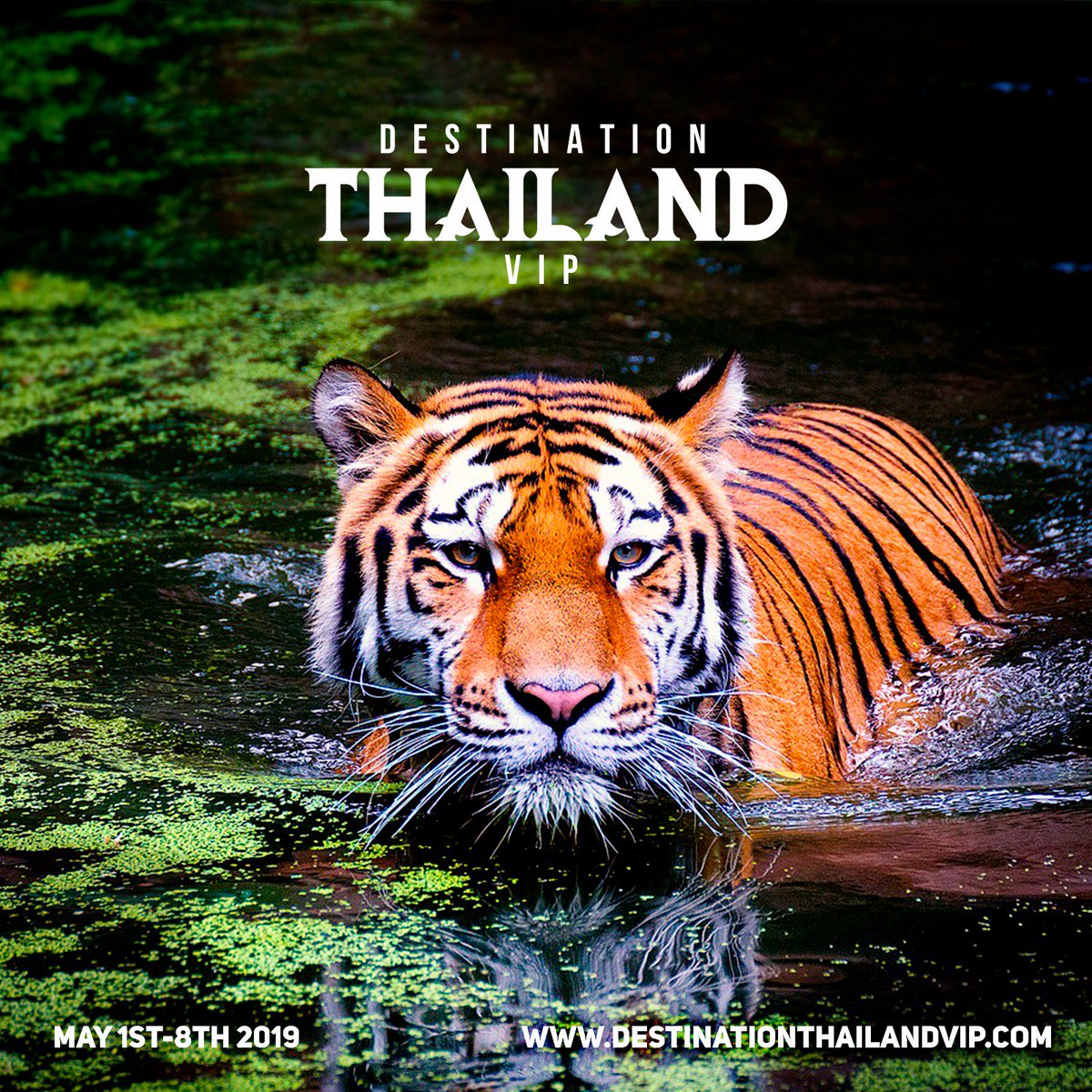 TFlow__'s tweet photo. The land of grand culture, tranquil souls and adventure.🇹🇭 Destination Thailand 2019 packages on sale now! May 1st-8th, 2019

Booking Link https://t.co/mtuQeijF1s

Discount Code-TFLOW

Installment Payments Plan Available 

 #Thailand #Travel #Holiday #TravelSunday #Vacation https://t.co/f3RUULdOOY