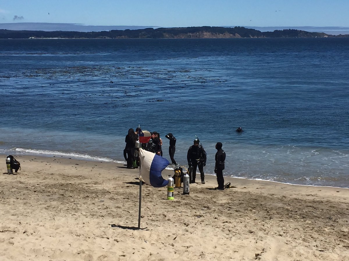 erasmomac's tweet photo. Hoy en #PuntaParra, buscando al #NemoChileno junto a los amigos de @ProsubLtda 🦐😉 #ExpediciónNemo @oceaneyeschile 🔍 👍 https://t.co/pPj38bGV2j