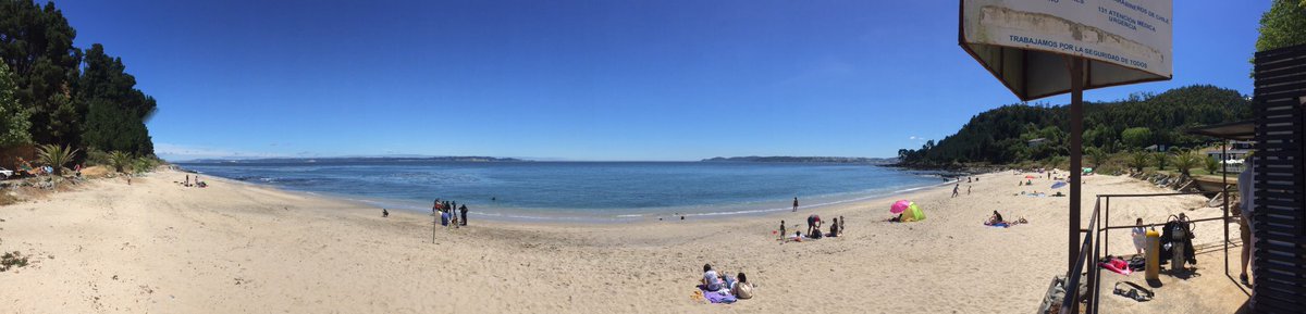 erasmomac's tweet photo. Hoy en #PuntaParra, buscando al #NemoChileno junto a los amigos de @ProsubLtda 🦐😉 #ExpediciónNemo @oceaneyeschile 🔍 👍 https://t.co/pPj38bGV2j