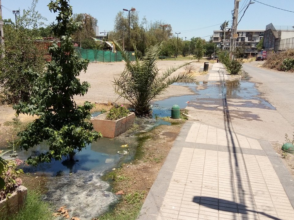molicris's tweet photo. @aguas_andinas @muniecentral @CHVNoticias @cazanoticiasCHV todavía sigue lo mismo más de una semana y aún no lo pueden solucionar, una vergüenza, asqueroso y además peligroso porque son aguas servidas!!!!! https://t.co/z9nYBMUIKI