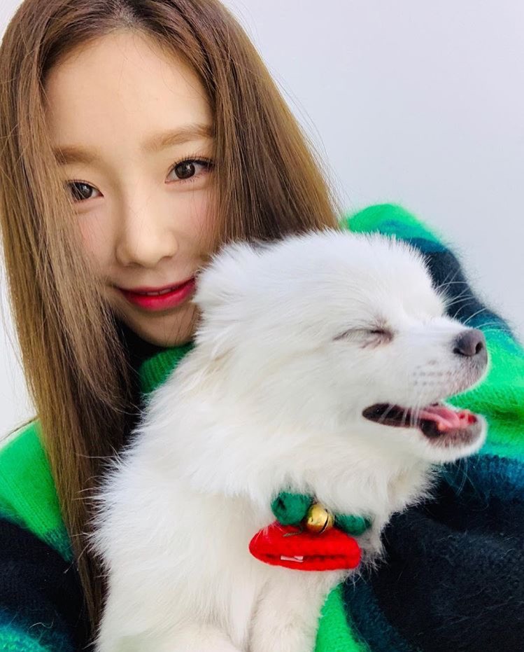 PARTYT9ME's tweet photo. [#TYIG] taeyeon_ss: 몽멍이 안고있으면 따뜻해 🎅🏻🦌🎈위로야 첫 크리스마스 잘 보내 @/oui_ro https://t.co/XbgRh8X0Aa