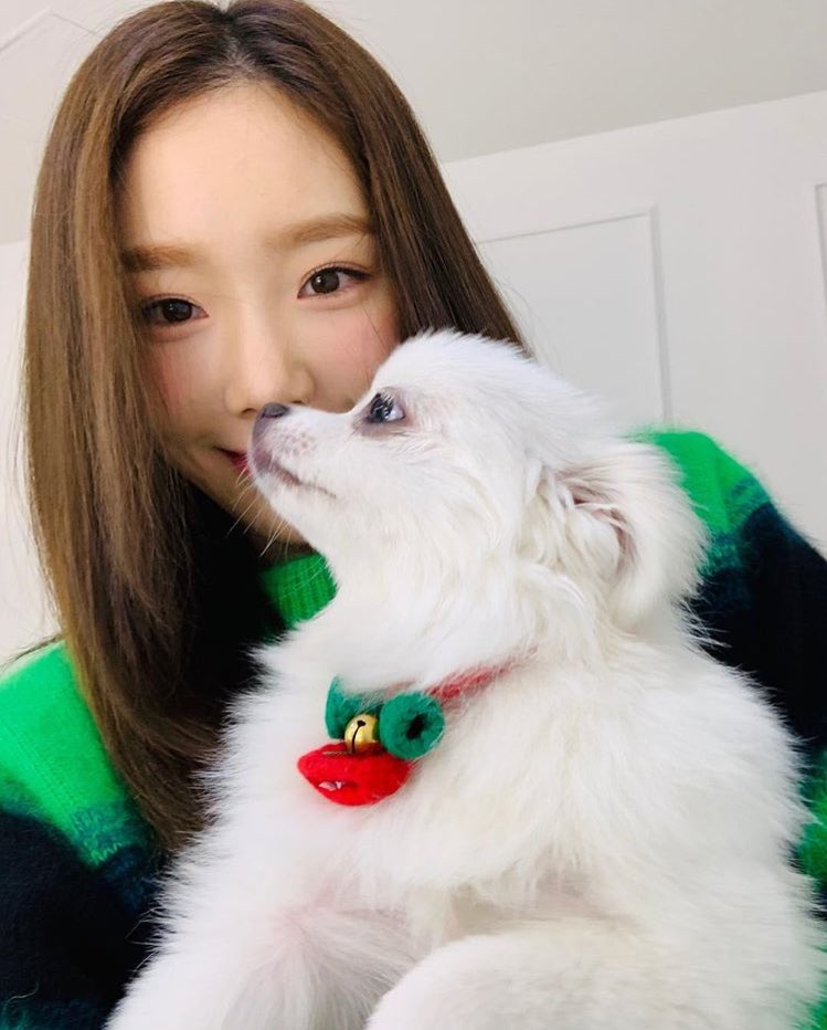PARTYT9ME's tweet photo. [#TYIG] taeyeon_ss: 몽멍이 안고있으면 따뜻해 🎅🏻🦌🎈위로야 첫 크리스마스 잘 보내 @/oui_ro https://t.co/XbgRh8X0Aa