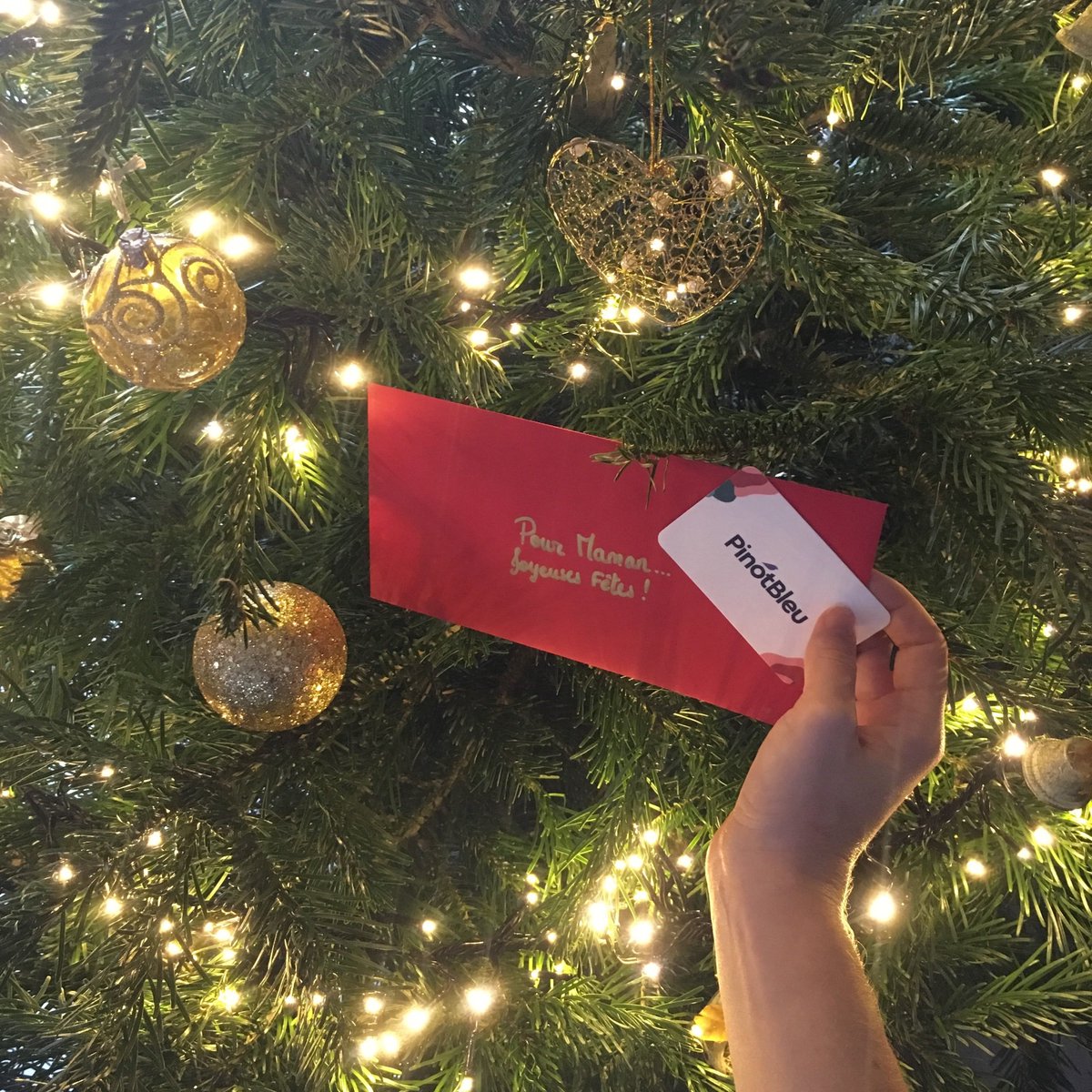 oeforgood's tweet photo. Un coffret de 6 quilles ? Un abonnement à la Box bio de 3, 6 ou 12 mois ? Ou tout simplement une carte cadeau à glisser entre les branches du sapin ✨ https://t.co/CXmFivXmxw https://t.co/31iksiubda