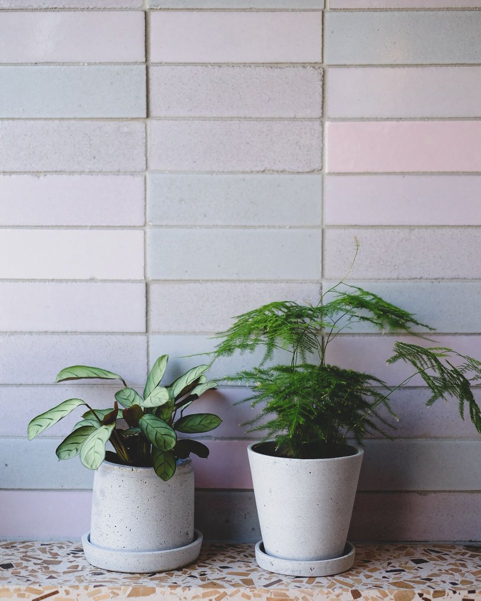 #SaplingDalston

Open from 17.00 - 22.00 on Sundays.