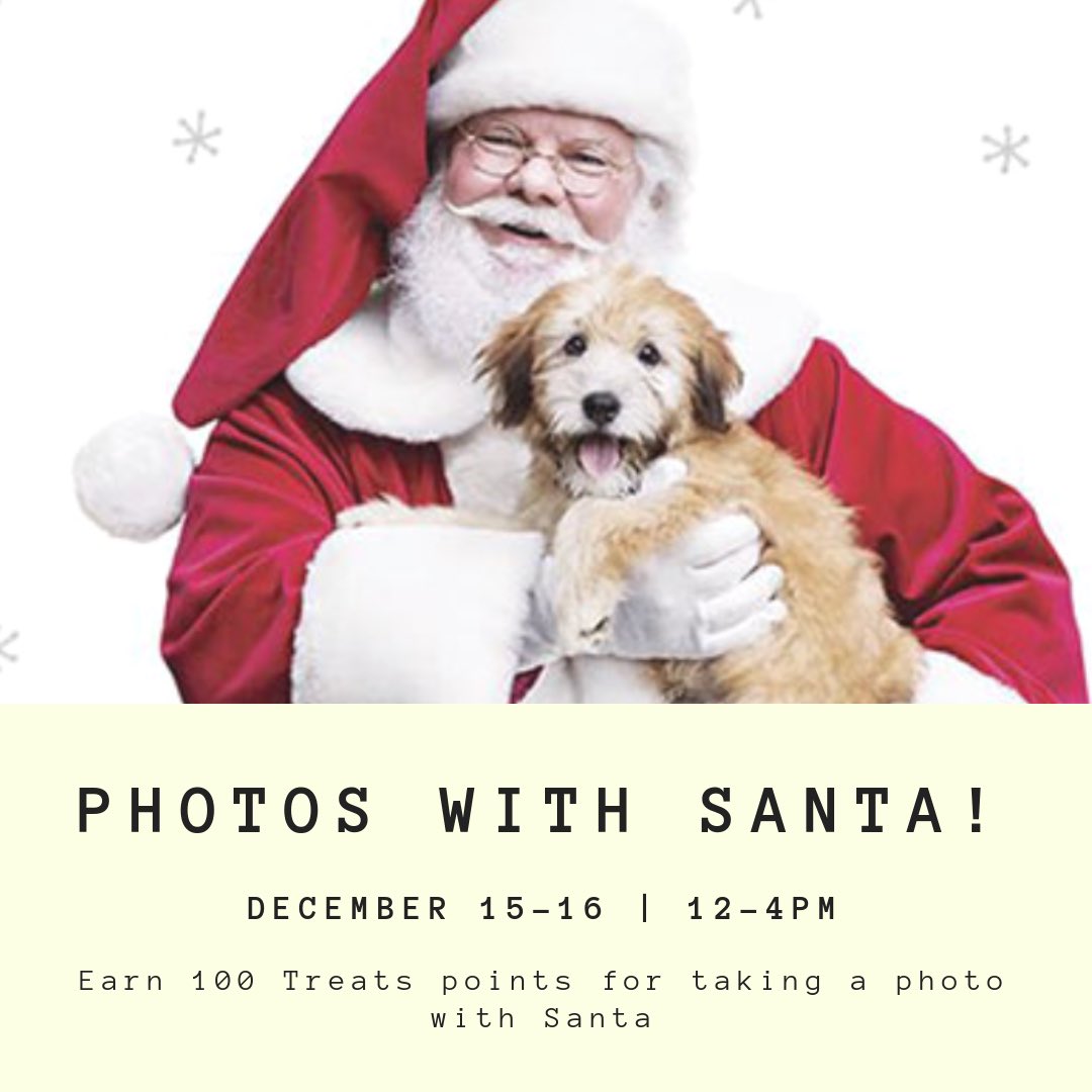 Petsmart Santa Cruz tweet media
