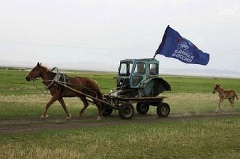 zzdorovya tweet picture