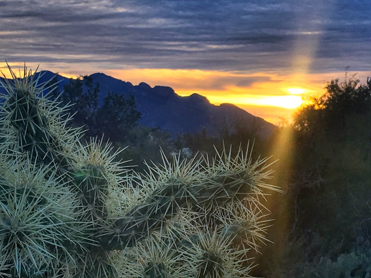 TomFergusFox10's tweet photo. This morningโs sunrise from the Old Pueblo, Tucson, AZ. #Tucson #Arizona #sunrise #MountLemon #SundayMorning @cityoftucson @VisitTucsonAZ https://t.co/ARh7XoVWnX