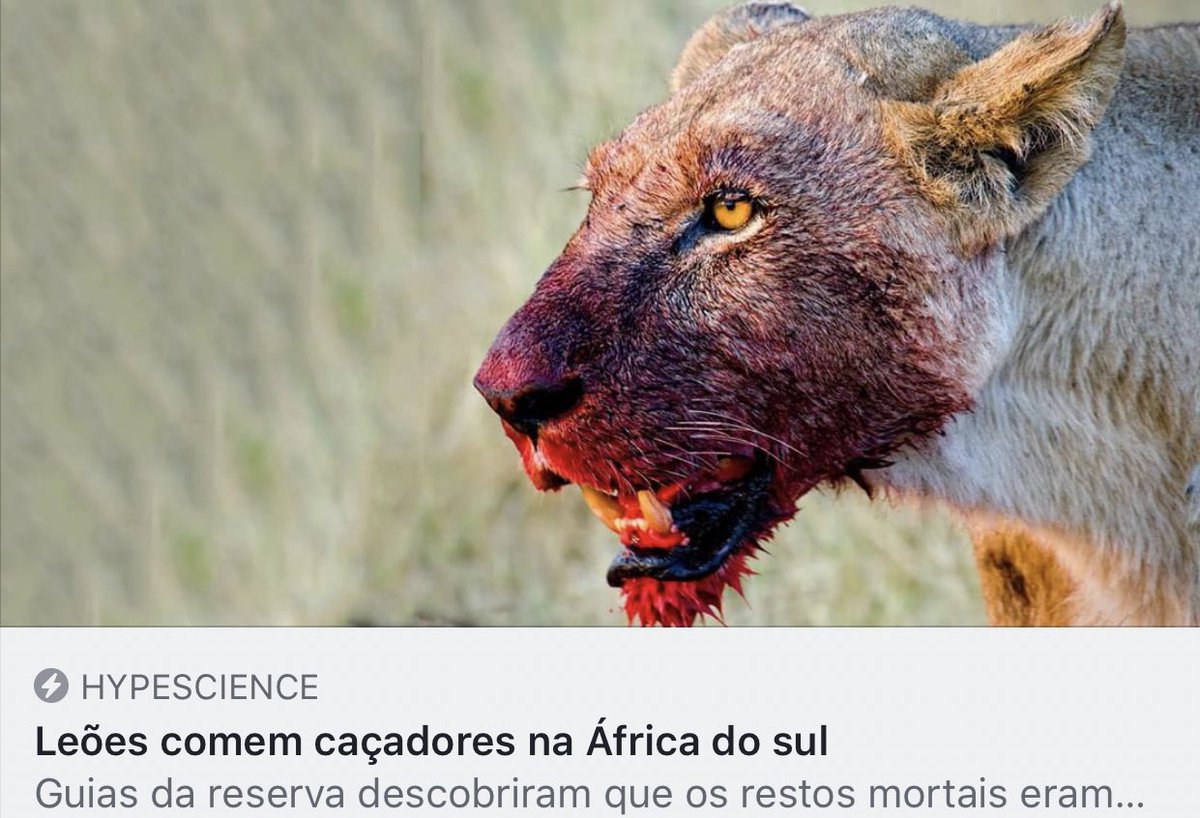 luscas's tweet photo. notícias boas pra começar a semana https://t.co/L3NMiMYZZ8