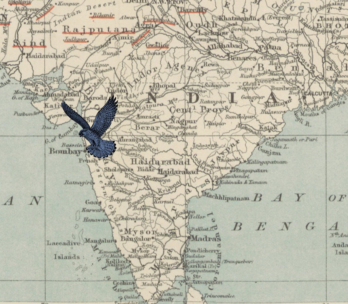 The word DOOLALLY, meaning ‘mad’ or ‘deranged’, derives from the town of Deolali in western India. The town was once home to a British army transit camp, where conditions were so squalid that many servicemen went insane while awaiting transport home to England.