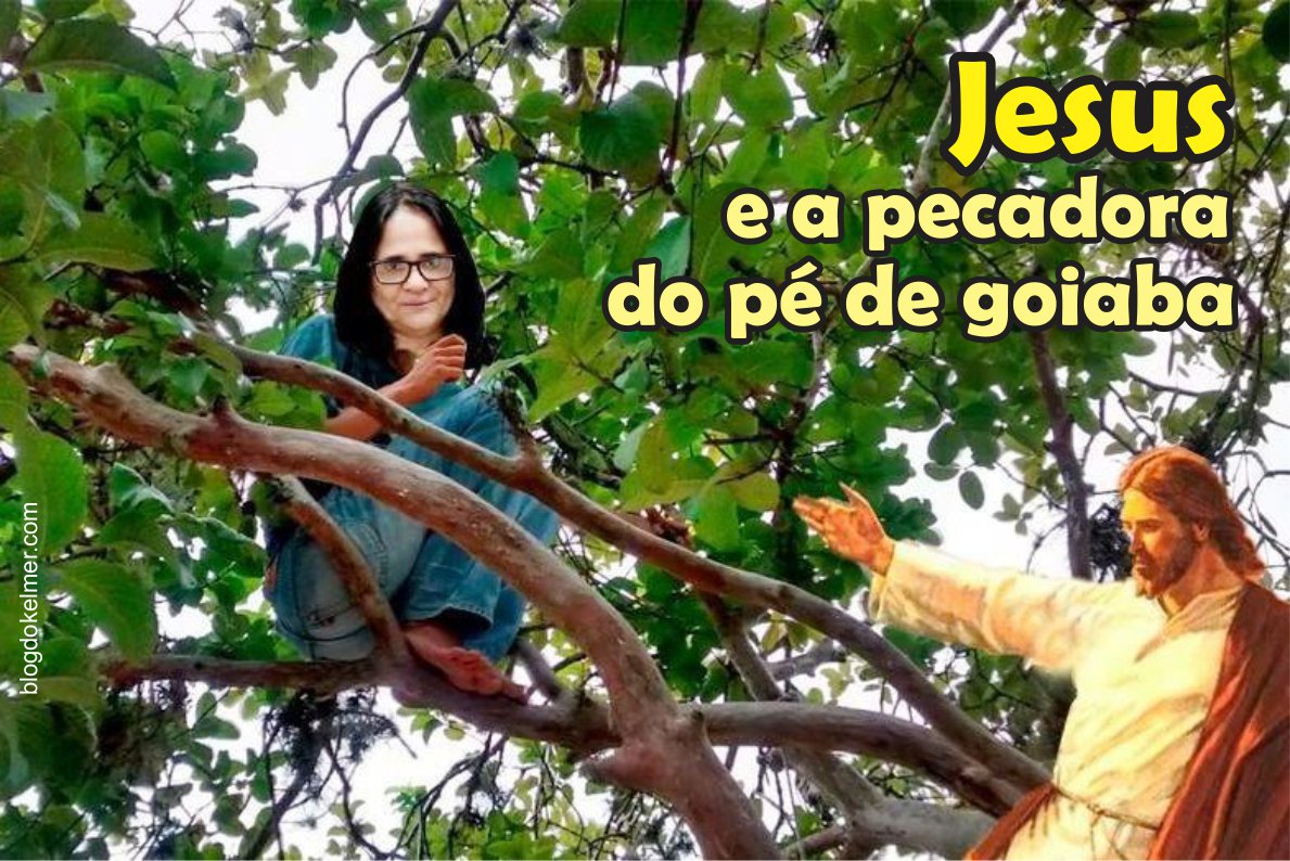 Imagem relacionada