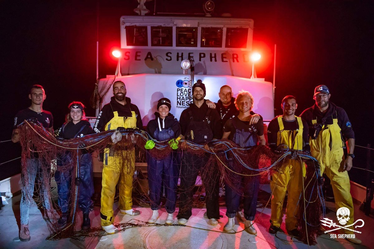 SeaShepherdAT's tweet photo. NEWS #OpMilagro
Die #Crew der @MVFarleyMowat  konnte die ersten 3 Netze sicherstellen! 1 #Rochen wurde gerettet. #ExtinctionIsForever https://t.co/ulWeaotuNV