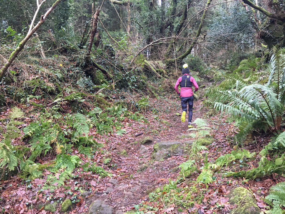 jo_meek's tweet photo. The Running 🐿 running through running 🐿🐿!
If only the rest of the day was that simple. Busy deciding 2019 goals. What are your plans?
Run 🐿 Run
#ultrarunner
#scottrunning #SupertracUltraRC #TRACTIONmatters #noshortcuts #fueltorule #ukrunchat #betarunning #Injinji #snb_uk https://t.co/PlrZSdWnPj