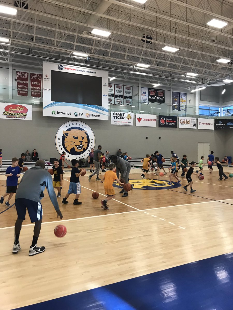 Gil Cheung tweet media