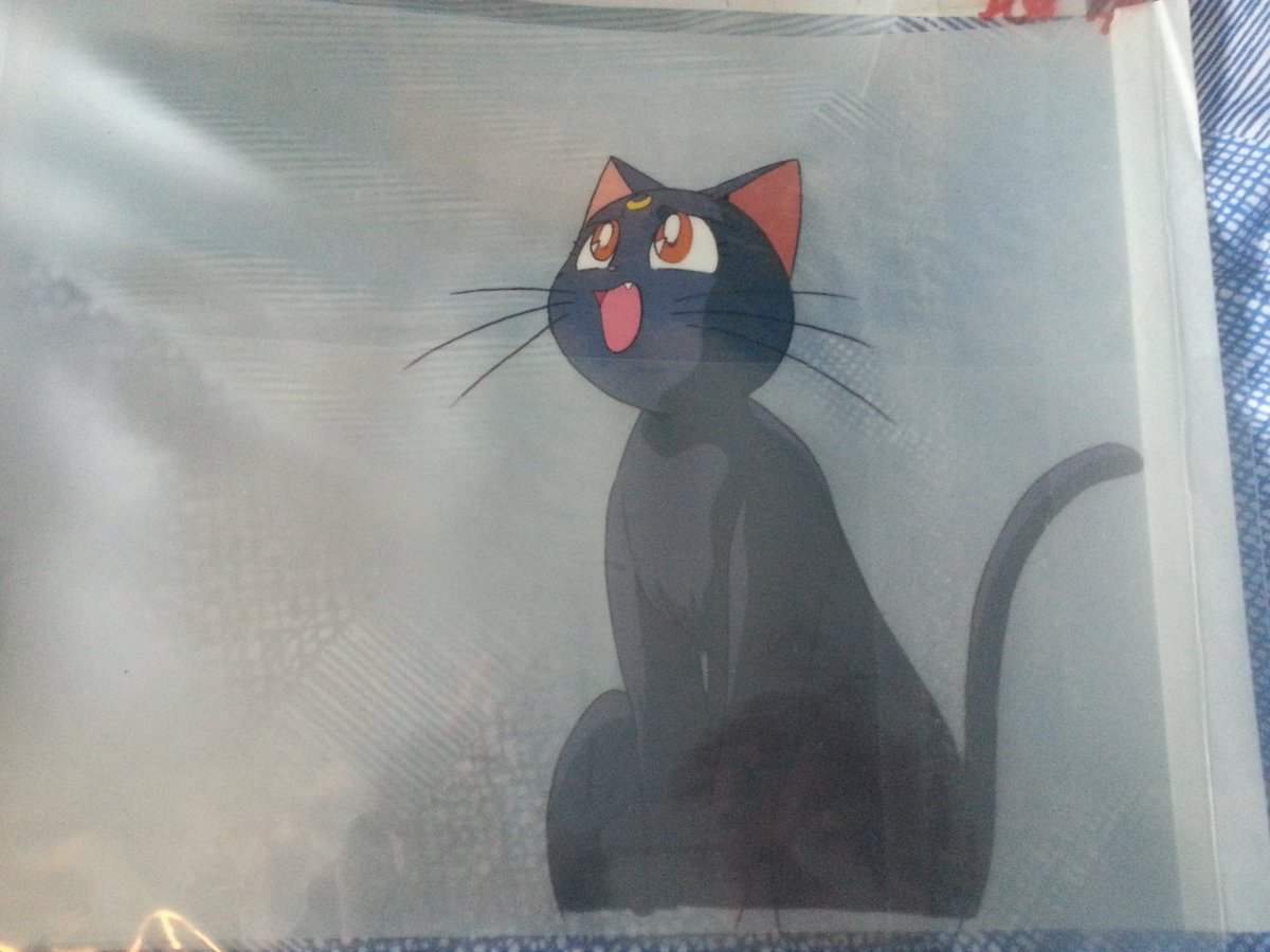 petti_gio's tweet image. My newest addition, Original Animation Cels from the #sailormoon TV Series!

#Anime #Animationcels #Cels #Luna #Prettysolidersailormoon #animation #BehindTheScenes