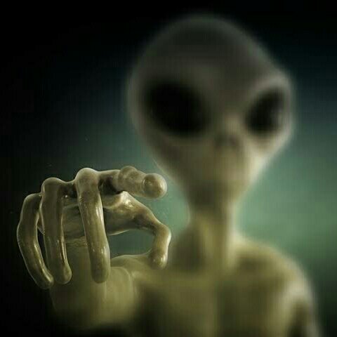 Smakitis tweet picture