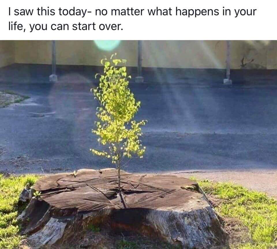Positivitiger's tweet photo. 🧡 https://t.co/tMhlqg6uxb
