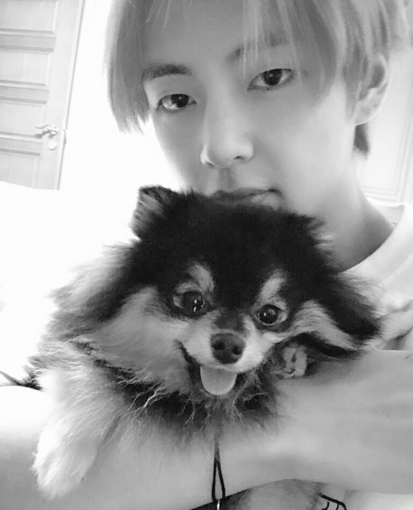 Chilli13817521's tweet photo. @bts_bighit #V https://t.co/Q1Wfm5ug2Y