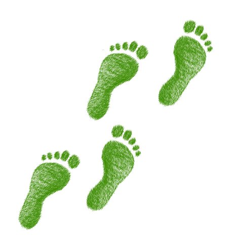 LightPointCont's tweet photo. @LightPointCont owner Lisa is on a bit of a mission to take #LittleGreenSteps - but how easy is it? And how much more does it cost? When it comes to #ketchup, turns out it costs quite a lot! Read her latest blog: https://t.co/iVoUbZSlNn https://t.co/riaqaPoUZz