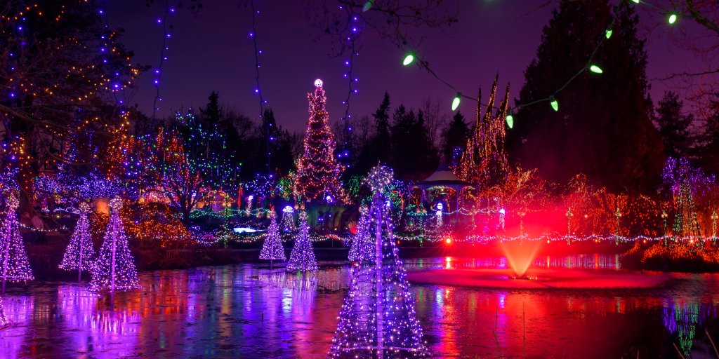 vandusen festival of lights promo code