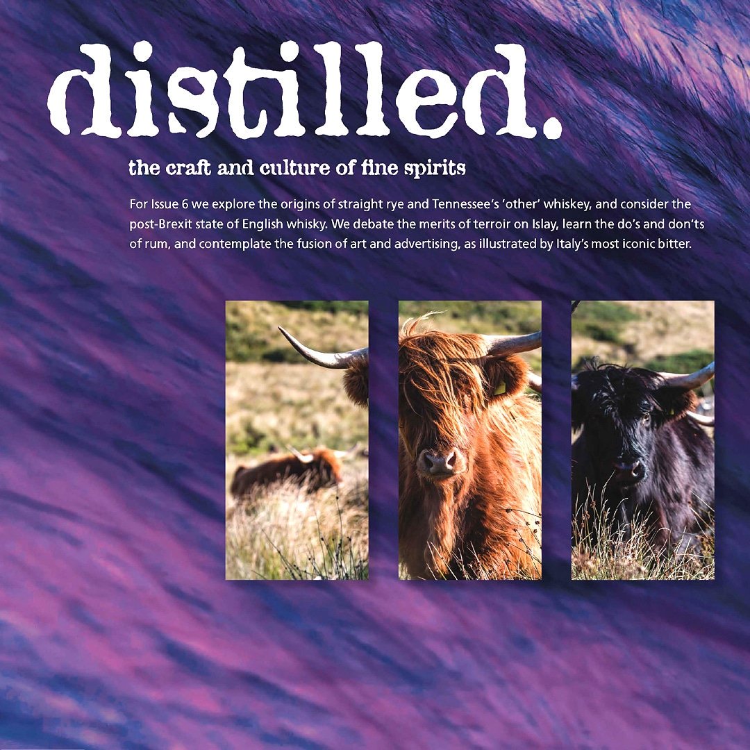 Distilled Magazine tweet media