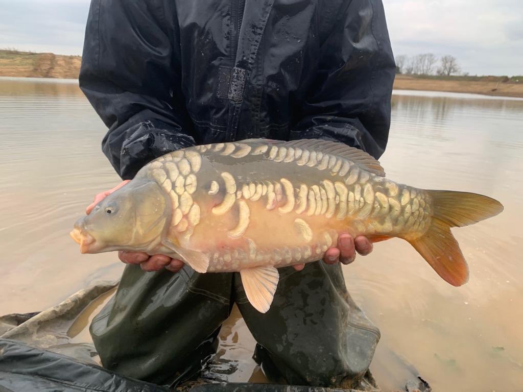 VS Fisheries tweet media