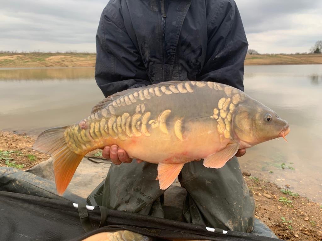 VS Fisheries tweet media