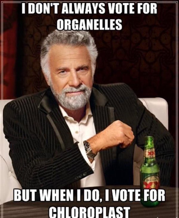 chloroblast20's tweet photo. There you go folks , vote chloroplast for president!✅♻️. #gogreen #OrganellevoteSTHS2018 https://t.co/lVFisQexU6